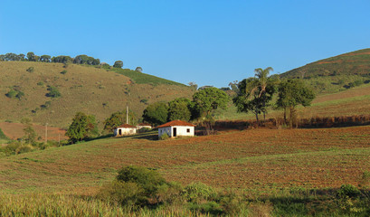 Casas de col&ocirc;nias na ro&ccedil;a
