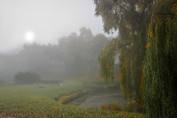 mglisty poranek w parku Kusocińskiego w Olsztynie