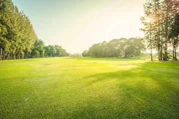 Foto op Plexiglas Scenery green golf and meadow with sunbeam in morning, Wonderful sunbeam at the natural park, Scenery fairway with trees and green grass field © peangdao