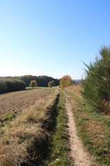 Fototapeta na wymiar Weg zwischen Wald und Wiese und Acker im Herbst lädt zum Wandern ein