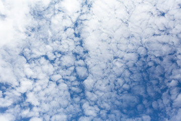 Beautiful blue sky with puffy white clouds - altocumulus