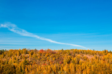 The beautiful autumn forest and blue sky background scenery