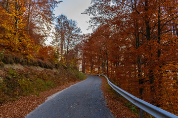 Beautiful autumn landscape full of colour from Sirnea Village in Brasov Romania