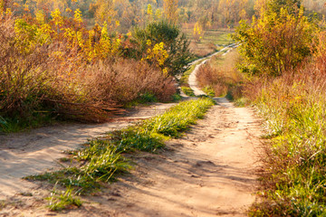 Old road in  wonderful autumn forest