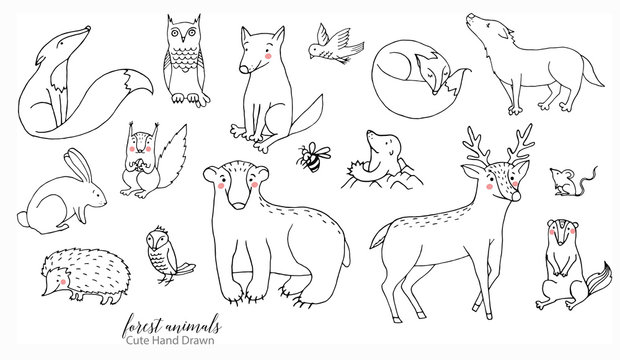 Line Drawings Of Animals Images – Browse 445,562 Stock Photos, Vectors, and  Video | Adobe Stock
