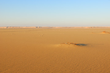 Fototapeta na wymiar Sahara Desert scenery. Egypt