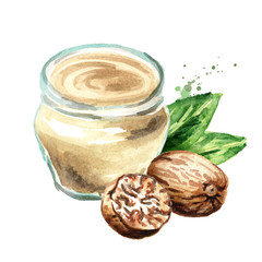 Bechamel sauce with nutmeg. Watercolor hand drawn illustration, isolated on white background