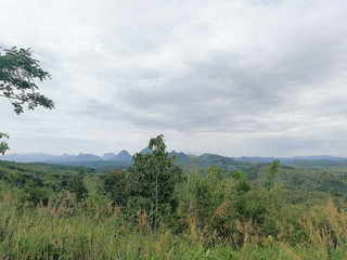 Obraz premium landscape with trees and blue sky