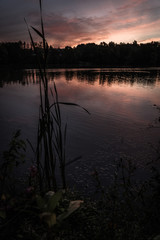 Sonnenaufgang an einem See im Teutoburger Wald