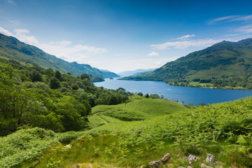 hills and forest surrounding Loch Lomond