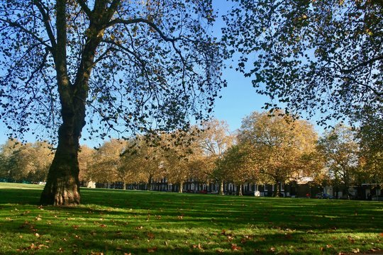 Autumn in Highbury Fields