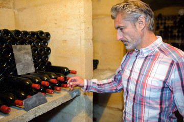 collection of wine