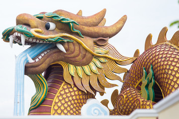 chinese dragon