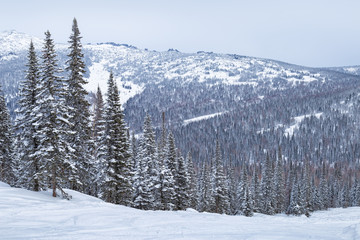 Ski resort Sheregesh, beautiful view at mountain. Winter sports and relaxation.