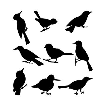 Black birds Silhouettes