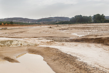 Crops devastated by natural disaster: muddy flood and water streams cover the croplands after historic storm that hit the south of Seville and north of Malaga province, in Spain.