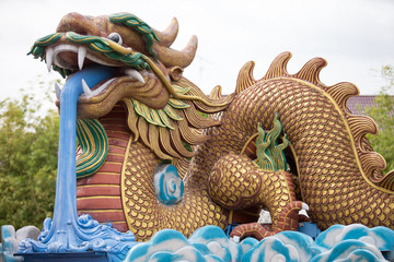 Fototapeta premium chinese dragon