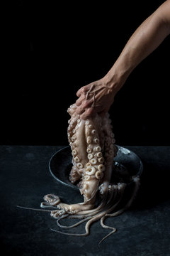 Crop hand holding octopus over plate