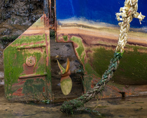 Rudder and rope.
