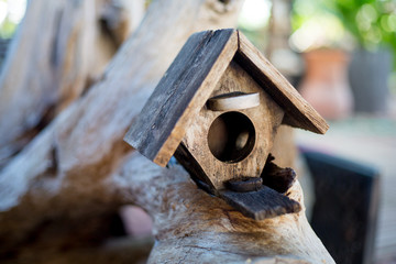birdhouse on tree