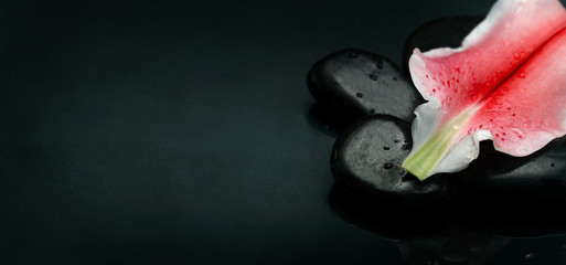 Top view of spa stones and flower petal over black background