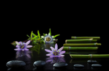 Beautiful spa composition with passiflora, bamboo and stones on black background