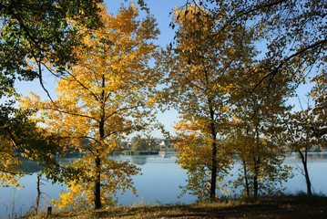 Autumn Landscape. Park in Autumn. The bright colors of autumn in the park by the lake.