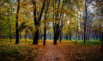 Fototapeta premium Autumn in the city park. The city of Khmelnitsky
