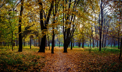 Autumn in the city park. The city of Khmelnitsky