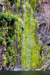 Waterfall at Millford Sound in New Zealand