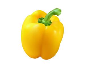 realistic yellow paprika