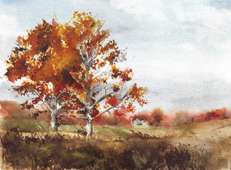 Autumn landscape yellow trees birch fall colors watercolor painting illustration - 229409198