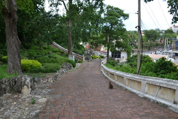 bridge in the park