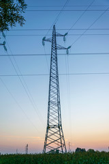 Fototapeta premium power lines on blue sky