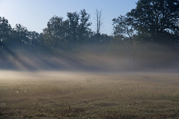 Jesienny świt nad wiejskimi łąkami. © boguslavus