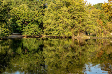 Wundervolle Herbstansicht mit Alleen,Teich ,Brücke und bunt gefärbten Bäumen und Blättern in Leipzig