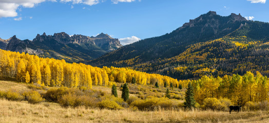 Autumn Mountain Valley - Golden autumn scene at a mountain valley on Owl Creek Pass Road, near...