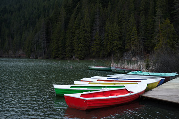 Multicolored boats on the lake, forest on background