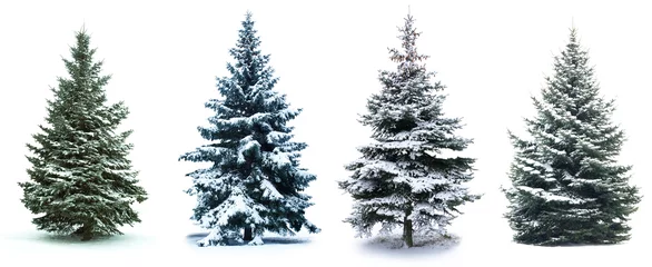 Ingelijste posters Christmas Tree collage © Andrey Volokhatiuk