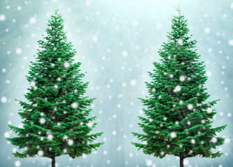 Christmas tree in snow