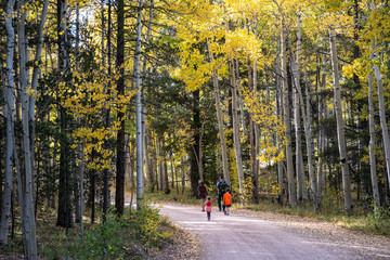 Fall in Colorado