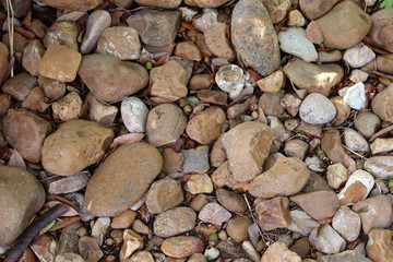 Rocks