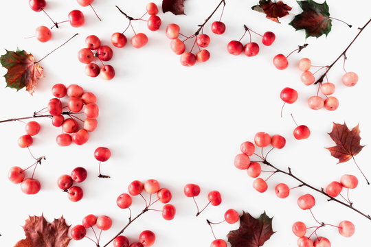 Autumn composition. Frame made of dried autumn leaves and berries on white background. Autumn, fall modern concept. Flat lay, top view, copy space 