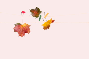 Autumn minimal composition. Frame made of colorful leaves on pastel pink background. Autumn, fall modern concept. Flat lay, top view, copy space 