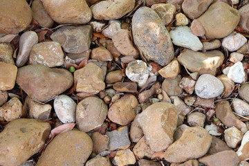 Rocks