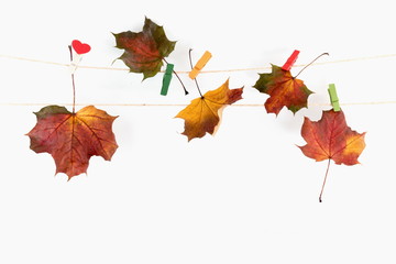 Autumn composition of leaves. Autumn, fall concept. Colorful dried leaves on white background. Flat lay, top view, copy space 