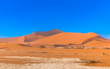 Fototapeta na wymiar Big Daddy Dune, Sossusvlei, Namib-Naukluft National Park, Namibia.