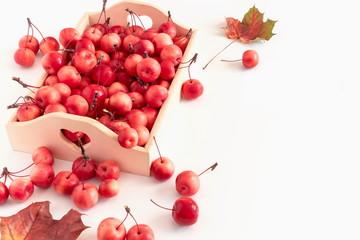 Autumn, fall concept. Red berries, small apples in a wooden box on a white background. Flat lay, top view, copy space 