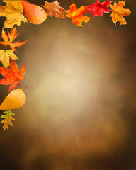 Naklejka na ściany i meble Brown Background with Fall Leaves