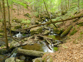 Höllbachgspreng, bewaldetes Felsmassiv unterhalb des Grossen Falkenstein, Bayerischer Wald, Deutschland